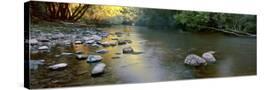 Stretched Canvas