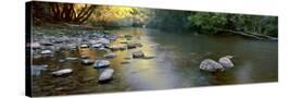 Stretched Canvas