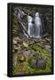 Essential Black