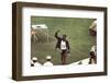 Wayne Collett after Winning Men's 400-Meter Race at 1972 Summer Olympic Games in Munich, Germany-John Dominis-Framed Premium Photographic Print