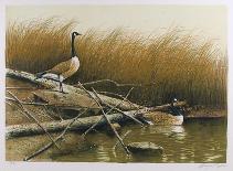 Willow Slew-Wayne Cooper-Framed Limited Edition