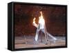 Wayne Gretzky and Others with Burning Olympic Cauldron, Opening Ceremonies for the XXI Winter Games-null-Framed Stretched Canvas