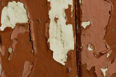 Old wooden door with red paint flaking, Cumbria, England-Wayne Hutchinson-Photographic Print