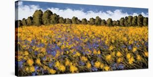 Summer Splendor-Wayne Leidenfrost-Framed Giclee Print