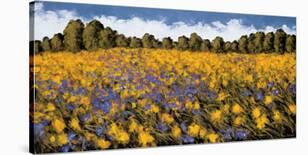 Summer Splendor-Wayne Leidenfrost-Framed Giclee Print