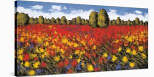 Fields of Gold-Wayne Leidenfrost-Stretched Canvas