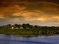 Forest at Sunset, Brazil-Wayne Walton-Stretched Canvas