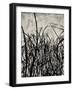 Waypost-Joshua Schicker-Framed Giclee Print