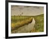 _WDH8951-Rien Poortvliet-Framed Giclee Print