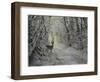 _WDH8954-Rien Poortvliet-Framed Giclee Print