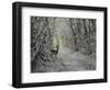 _WDH8954-Rien Poortvliet-Framed Giclee Print