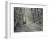 _WDH8954-Rien Poortvliet-Framed Giclee Print