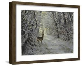 _WDH8954-Rien Poortvliet-Framed Giclee Print