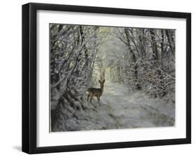 _WDH8954-Rien Poortvliet-Framed Giclee Print