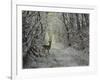 _WDH8954-Rien Poortvliet-Framed Giclee Print