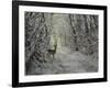 _WDH8954-Rien Poortvliet-Framed Giclee Print