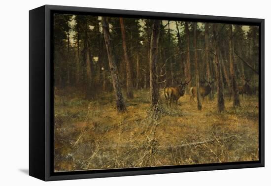_WDH8979-Rien Poortvliet-Framed Stretched Canvas