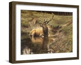 _WDH9008-Rien Poortvliet-Framed Giclee Print