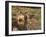 _WDH9008-Rien Poortvliet-Framed Giclee Print