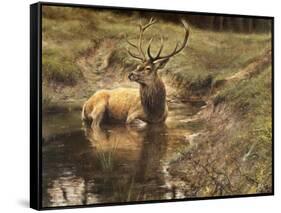 _WDH9008-Rien Poortvliet-Framed Stretched Canvas