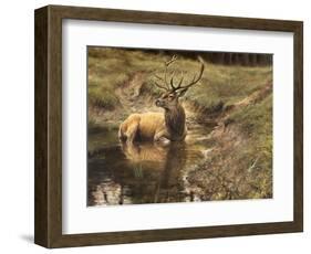 _WDH9008-Rien Poortvliet-Framed Giclee Print