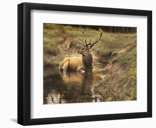 _WDH9008-Rien Poortvliet-Framed Giclee Print