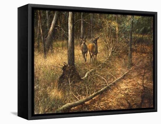 _WDH9012-Rien Poortvliet-Framed Stretched Canvas
