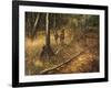 _WDH9012-Rien Poortvliet-Framed Giclee Print