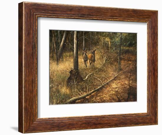 _WDH9012-Rien Poortvliet-Framed Giclee Print