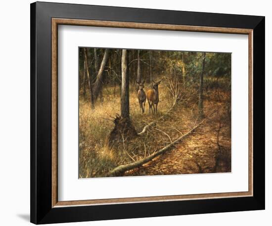 _WDH9012-Rien Poortvliet-Framed Giclee Print