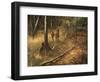 _WDH9012-Rien Poortvliet-Framed Giclee Print