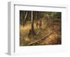 _WDH9012-Rien Poortvliet-Framed Giclee Print