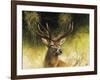 WDH9019-Rien Poortvliet-Framed Giclee Print