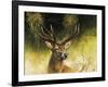 WDH9019-Rien Poortvliet-Framed Giclee Print