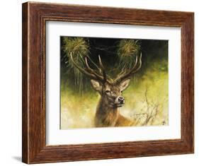 WDH9019-Rien Poortvliet-Framed Giclee Print