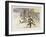 _WDH9170-Rien Poortvliet-Framed Giclee Print