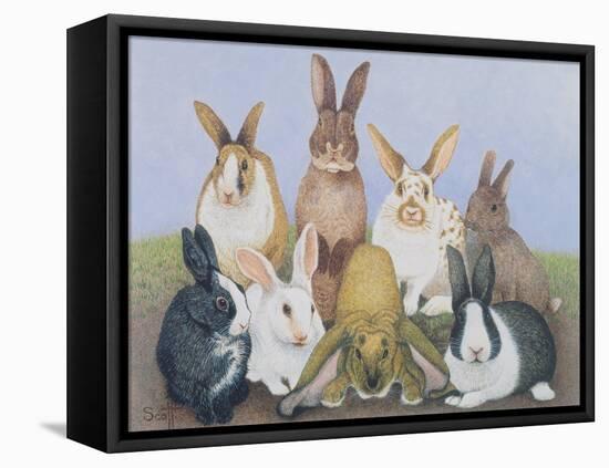 We are All Ears-Pat Scott-Framed Stretched Canvas