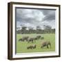 We Are Family 2-Ben Heine-Framed Photographic Print