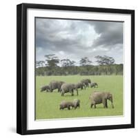 We Are Family 2-Ben Heine-Framed Photographic Print