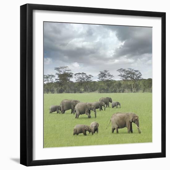 We Are Family 2-Ben Heine-Framed Photographic Print