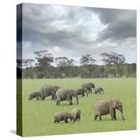 We Are Family 2-Ben Heine-Stretched Canvas