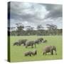 We Are Family 2-Ben Heine-Stretched Canvas