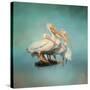 We are Family White Pelicans-Jai Johnson-Stretched Canvas