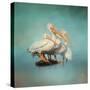 We are Family White Pelicans-Jai Johnson-Stretched Canvas