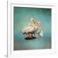 We are Family White Pelicans-Jai Johnson-Framed Giclee Print