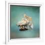 We are Family White Pelicans-Jai Johnson-Framed Giclee Print