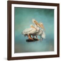 We are Family White Pelicans-Jai Johnson-Framed Giclee Print