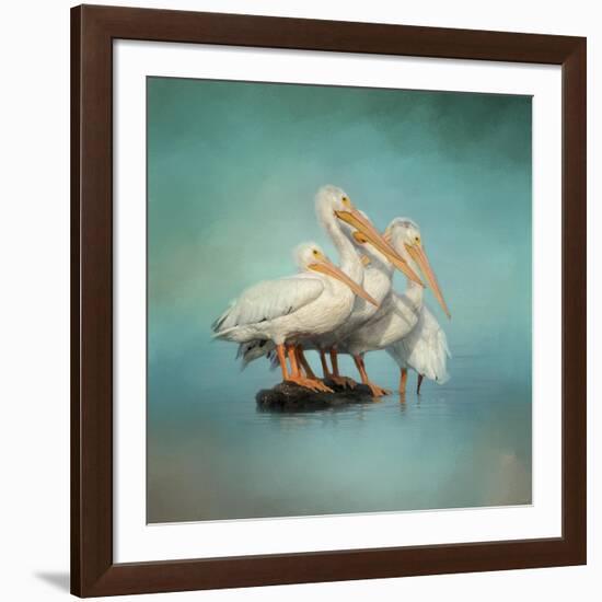 We are Family White Pelicans-Jai Johnson-Framed Giclee Print