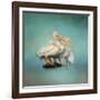 We are Family White Pelicans-Jai Johnson-Framed Giclee Print