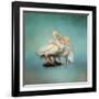 We are Family White Pelicans-Jai Johnson-Framed Giclee Print